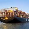 Home » ship search » msc maria laura, container ship, imo: 1