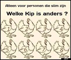 Pin Van Coleta Van Min Op Teksten 2 In 2020 Met Afbeeldingen Grappige Teksten Grappige Videos Grappige Plaatjes