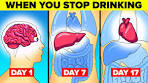 What Happens To Your Body When You Stop Drinking Alcohol - YouTube
