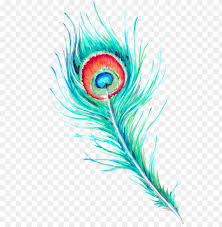 Peacock Feather Watercolor Free Png Image With Transparent Background Toppng 650 x 1485 png 1254 kb. peacock feather watercolor free png