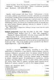 Image result for Isachne mauritiana