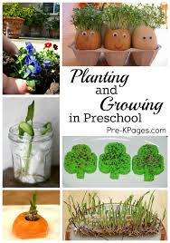 Maybe you would like to learn more about one of these? 25 Planting And Gardening Activies For Preschoolers Planting For Kids Preschool Garden Gardening For Kids