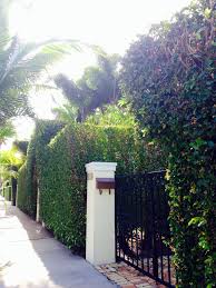 Clematis by night west palm beach florida. Stroll The Palm Beach Story Clematis Street Downtown West Palm Beach