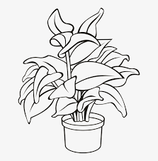 That fine art photograph you can license or buy a fine art print. Flowerpot Houseplant Plants Leaf Potted Plant Clipart Black And White Transparent Png 632x750 Free Download On Nicepng