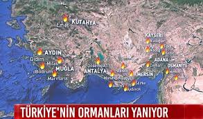 We did not find results for: D9nncmb4wdd6dm