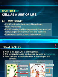 Differences between a plant and an animal cell. Science Form 1 Chapter 2 Human Body Vacuole