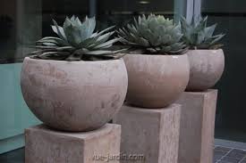 Grand Pot De Fleurs Vasque Vase Jardiniere Bombe En Terre Cuite Caspo Anti Gel Design Exteri Succulents Succulent Landscape Design Succulents In Containers