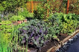 Organic gardening is essentially gardening without using synthetic products like fertilizers and pesticides. Organic Gardening 101 The Ultimate Guide House Method