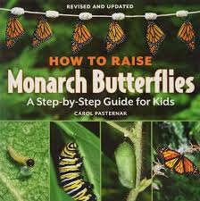Check spelling or type a new query. How To Raise Monarch Butterflies A Step By Step Guide For Kids How It Works Pasternak Carol 9781770850026 Amazon Com Books