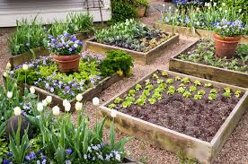 Vegetable garden plans from better homes and gardens offers 14 vegetable garden designs, ranging from a child's garden to an italian garden. Planning Basics Of The Vegetable Garden My Decorative