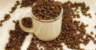 gano excel es ganoderma uzlet gida kahve mantar