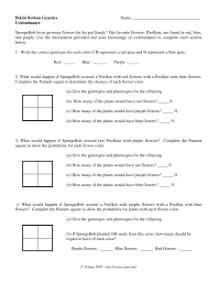 Create a punnett square to help you answer the questions. Bikini Bottom Genetics Name Codominance Spongebob Loves