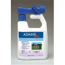 Pin By Maki 4im On Pet Supplies Spray Ant Spray Sprayers