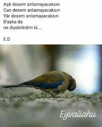 Guzel Sozler Hulya Adli Kullanicinin Hulyaname Panosundaki Pin Guzel Soz