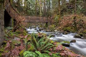 Bridge And Stairs Along Hiking Trail In Mcdowell Creek Falls County Park In Oregon Stock Photo Picture And Royalty Free Image Image 133566020