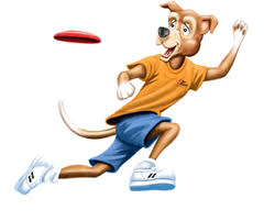 Chantilly Tiffany Pet Insurance