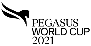We did not find results for: Celebrities Racing Enthusiasts And Fans Celebrate The 2021 Pegasus World Cup Championship Invitational Series At Gulfstream Park