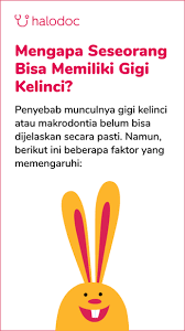 Ada dua jenis pemasangan gigi kelinci yang harganya satu dengan lainnya berbeda. 3 Pengobatan Untuk Mengatasi Gigi Kelinci Makrodontia