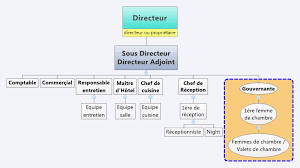 Exemple D Organigramme De L Equipe D Un Hotel Words Airline