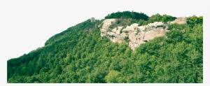 32 transparent png of mtn dew. Green Mountains Png Transparent Tree Mountain Png Png Image Transparent Png Free Download On Seekpng