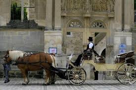 Check spelling or type a new query. Versailles Horse And Carriage Ride Private City Tour 2021