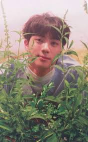 Jin Bts Love Yourself 承 Her Photocard Version O Seokjin Bts Jin Kim Seokjin