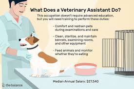 Pet Sitter Job Description Salary Skills More Veterinary Assistant Work With Animals Veterinary