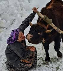 Anadolu Nun Emektar Insanlari 2 Resim Amerikan Yerlisi Sanati Hayvan Tablolar