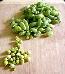 Maybe you would like to learn more about one of these? Fresh Garbanzo Beans America S Table