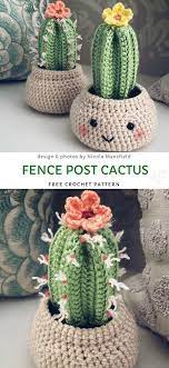 I'm afraid i can't save the gymnocalycium, but if i'd just cut off the gymnocalycium would the. Home Decor Amigurumi Unfortunately Cactuses Bloom Only Once A Year For A Very S Blog Crochet Flower Patterns Crochet Patterns Amigurumi Crochet Patterns
