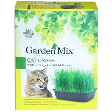 Garden Mix Kedi Cimi