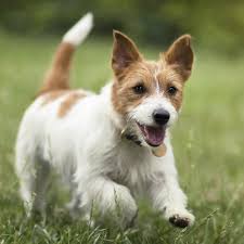 We did not find results for: Pension Can Idee Education