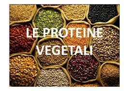 Il mondo vegetale è ricco di proteine: 8 Proteine Vegetali