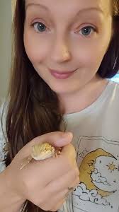 What is my bearded dragon's morph?