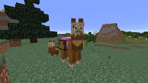 We did not find results for: How To Tame And Ride A Llama In Minecraft 2021 Pro Game Guides