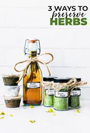 Preserving Herbs Is Easy Learn 3 Ways To Preserve Fresh Herbs Including Freezing Herbs And Get Recipes For A Fresh Herb Recipes Preserving Herbs Herb Recipes