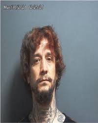 Greene County Jail Log