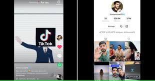 Shenoy pointed out another reason why indians continued the use of tiktok after the ban. Tiktok India Ban Tiktok Creators Are Asking Fans To Follow Instagram Youtube