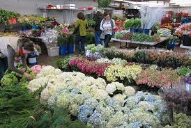 Covering san francisco, oakland, san jose and all of the greater bay area. San Francisco Flower Mart 2021 All You Need To Know Before You Go With Photos Tripadvisor