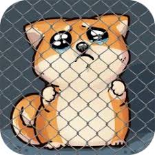 Animal shelters from coast to coast are pitching in to help cats and dogs in distress from the aftermath of hurricane ida find new homes. Pet World My Animal Shelter Take Care Of Them Apk 5 6 10 Download For Android Download Pet World My Animal Shelter Take Care Of Them Apk Latest Version Apkfab Com