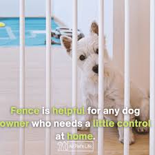 Maybe you would like to learn more about one of these? 12 Discover The Best Portable Dog Fence Of 2021 Reviews All Pet S Life