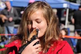 Howl-O-Weenie by Dream Dachshund Rescue