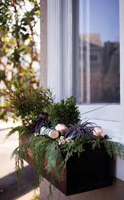 Blumenkasten Weihnachtlich Dekorieren Fenster Modern Birke