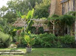 6 Belles Plantes Exotiques Qui Poussent En Bretagne Elle Decoration Jardin Exotique Jardins Jardin Maison