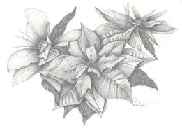 Poinsettia Tattoo Tattoos Pinterest December Flower Tattoo Birth Flower Tattoos Flower Tattoo Drawings