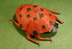 Read online books for free new release and bestseller Origami Insects And Their Kin By Robert J Lang Book Review Gilad S Origami Page