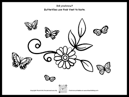You can use this picture for backgrounds on computer with best quality. Free Printable Butterflies With Flower Coloring Page The Art Kit