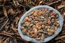 12,955 likes · 208 talking about this. Definition Myrrhe Futura Sante