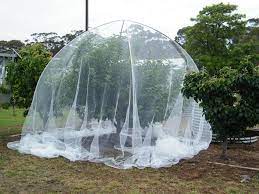 Jul 06, 2021 · although they will grow well in both part shade and full sun, planting in full sun is recommended if you want the best tasting and largest harvest of fruit. Fruit Tree Netting Intelligent Living