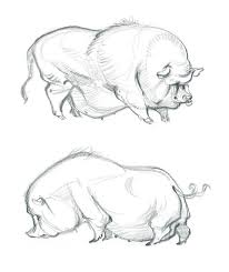 Sketchbook J A W Cooper In 2020 Sketch Book Animal Drawings Creature Art